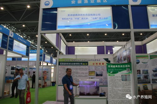 近500家水产 饲料 动保 设备等企业共同汇聚合肥渔博会,现场亮点纷呈,同期还举办了这些重磅活动