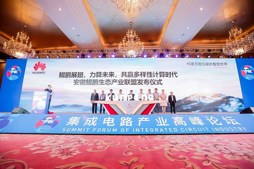 2019世界制造业大会 集成电路产业高峰论坛胜利召开