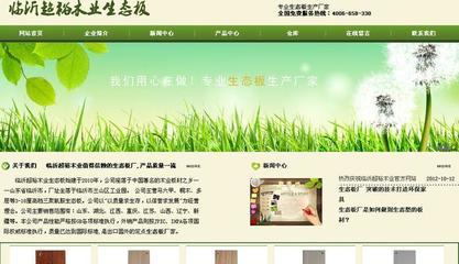 合肥SEO公司:提升网站排名的本地策略详解