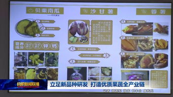 立足新品种研发 打造优质果蔬全产业链