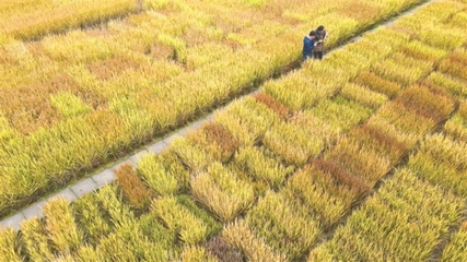 秦皇岛市纪委监委网站