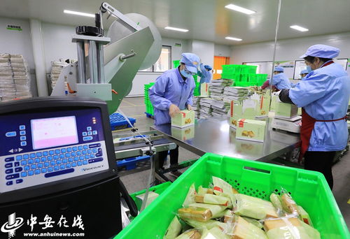 庐江 食品企业复工复产保供应