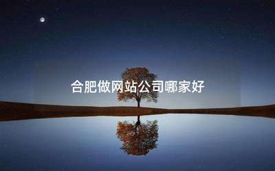 安徽合肥网站建设网站制作网站设计---安徽网站建设公司_合肥做网站公司哪家好