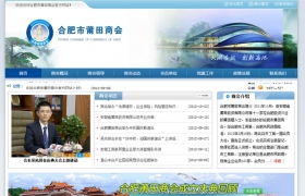 案例展示,第16页 合肥做网站公司,合肥做网站价格,合肥做网站多少钱 合肥谨宸科技