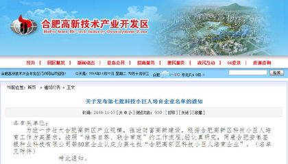 中霖中科获合肥高新区第七批科技小巨人培育企业