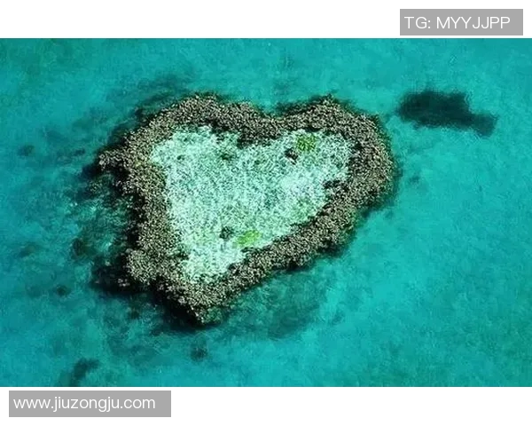 莱昂纳德随队前往北昆士兰,疑似海滩暴露身体 莱昂纳德随队前往北昆士兰,疑似海滩暴露身体