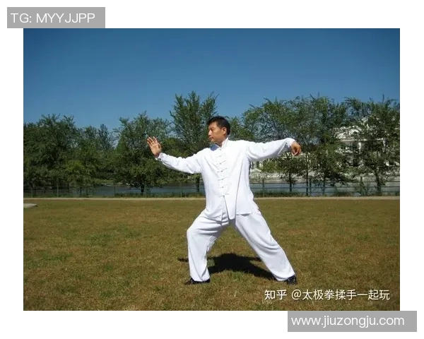 深入浅出杨氏32式太极拳教学探索与实践之旅 深入浅出杨氏32式太极拳教学探索与实践之旅